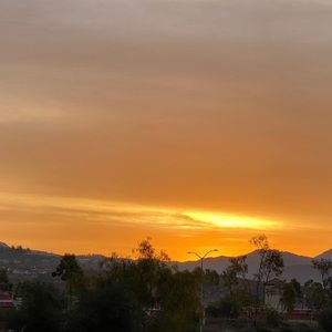 Meet your Posher, Becca